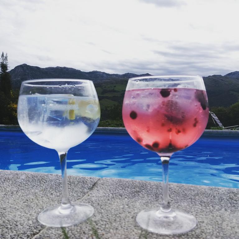 Aire De Ruesga Hotel Luaran gambar